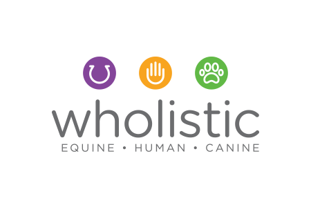 Wholistic equine human canine massage branding logo design